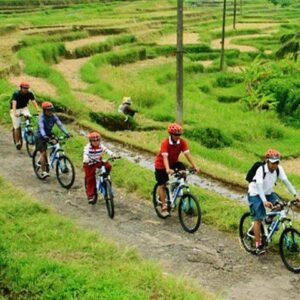 Jatiluwih Eco Cycling Adventure