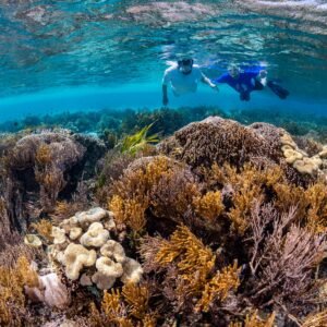 Nusa Penida West & Snorkeling Tour