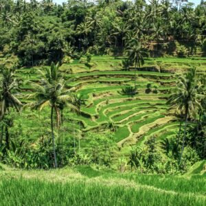 Ubud Heritage & Culture Tour