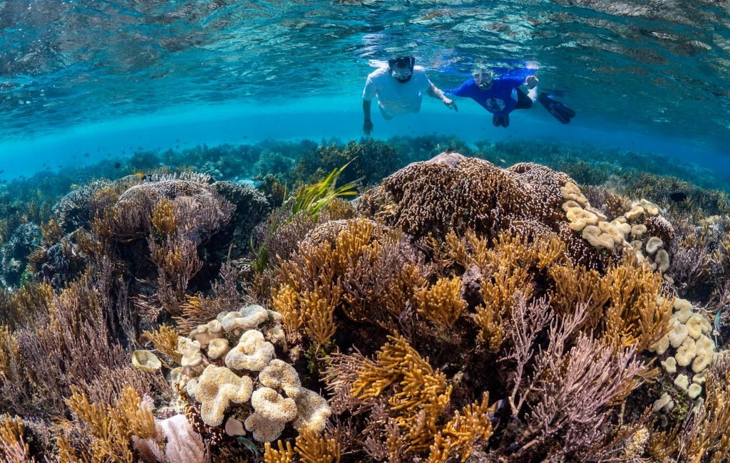 Nusa Penida Snorkeling 3